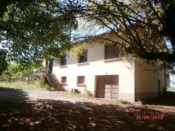 Foto dell'alloggio