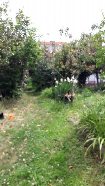 Foto dell'alloggio