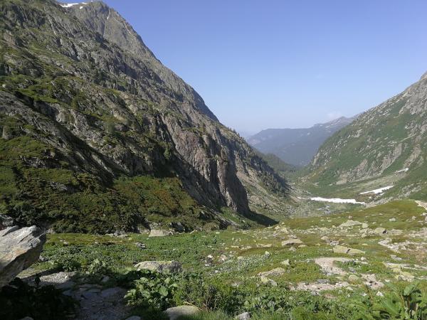 Foto dell'alloggio