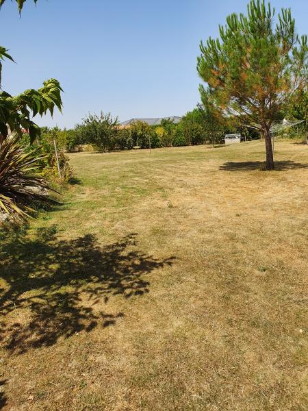 Foto dell'alloggio