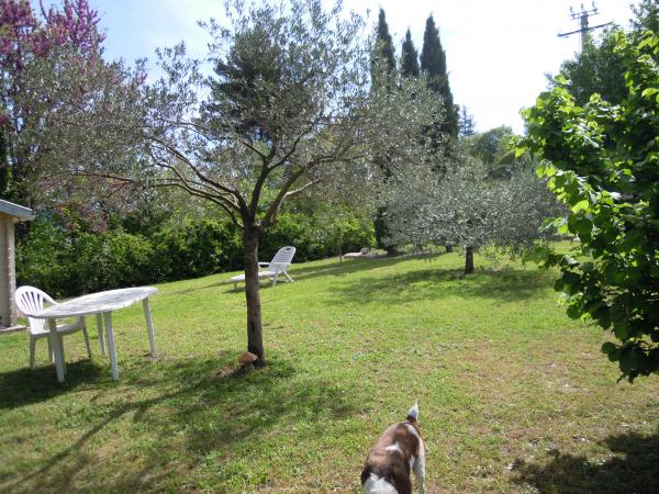 Foto dell'alloggio