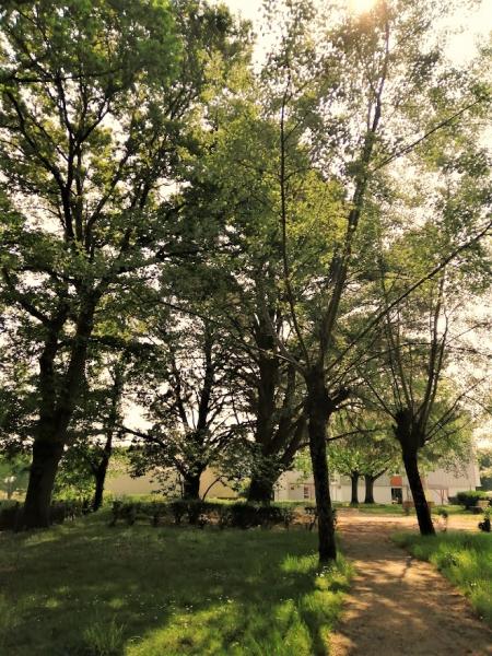 Foto dell'alloggio