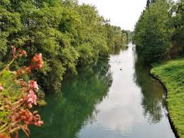 Foto dell'alloggio