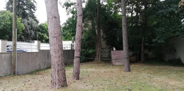 Foto dell'alloggio