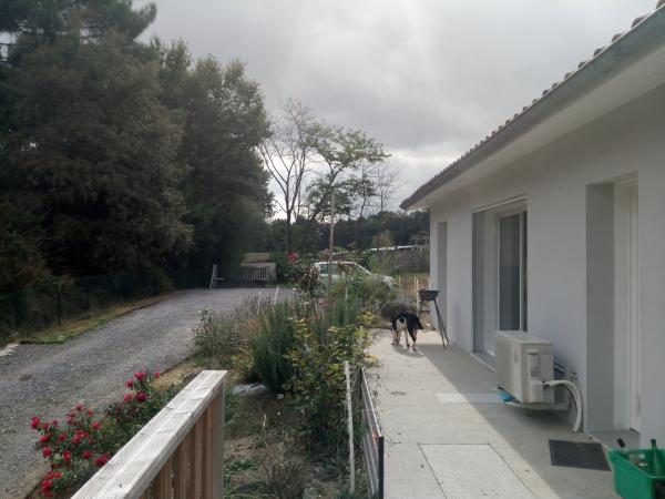 Foto dell'alloggio