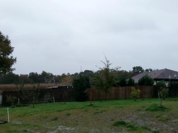 Foto dell'alloggio