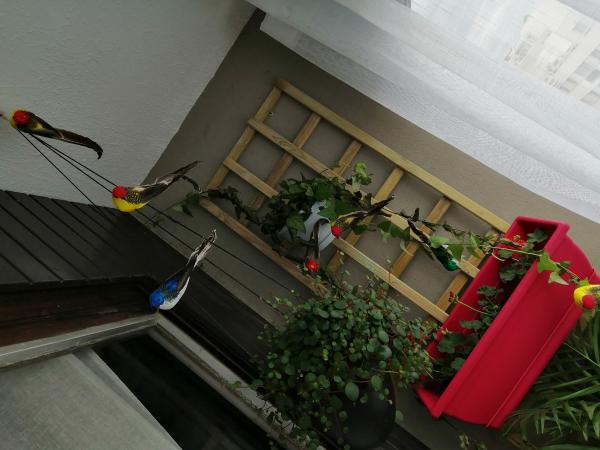 Foto dell'alloggio