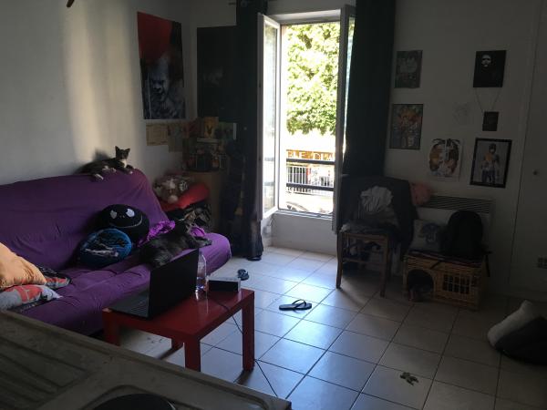 Foto dell'alloggio
