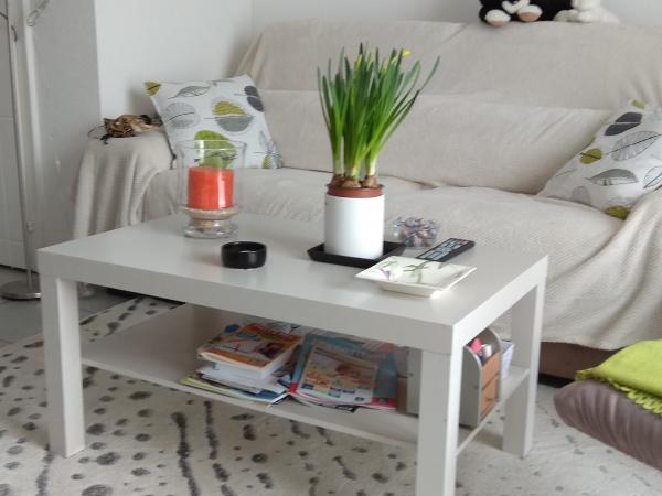 Foto dell'alloggio