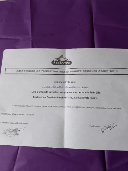 Foto dell'alloggio