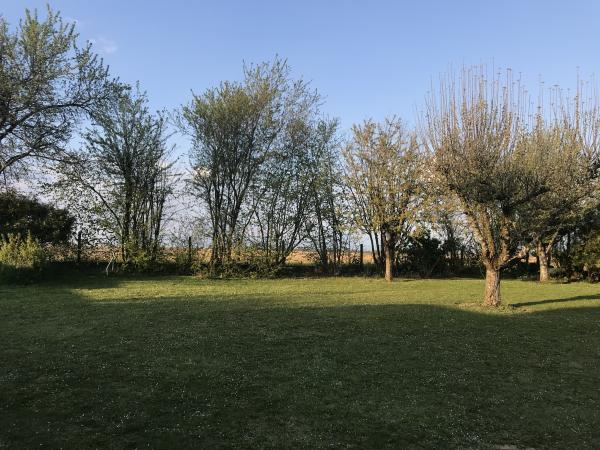 Foto dell'alloggio