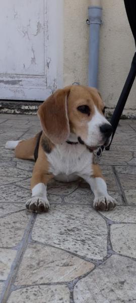 Foto dell'alloggio