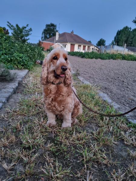 Foto dell'alloggio