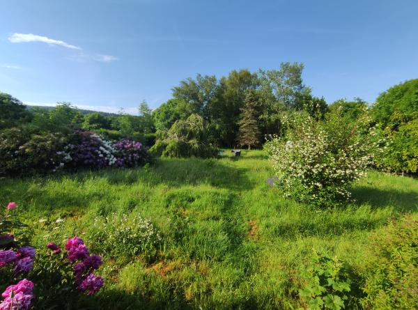 Foto dell'alloggio