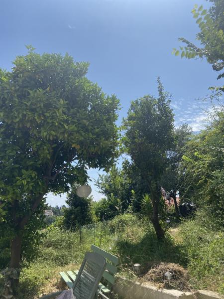 Foto dell'alloggio