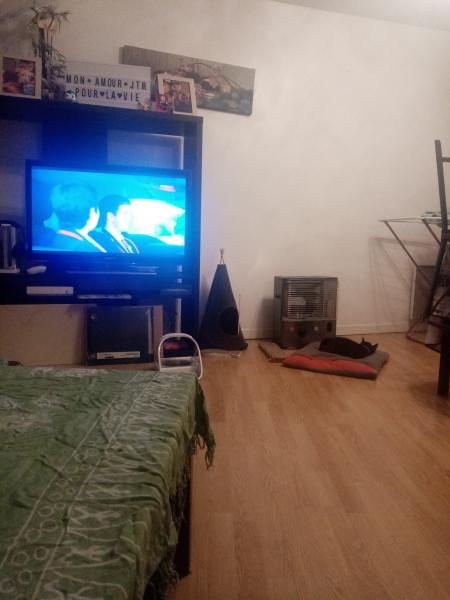 Foto dell'alloggio