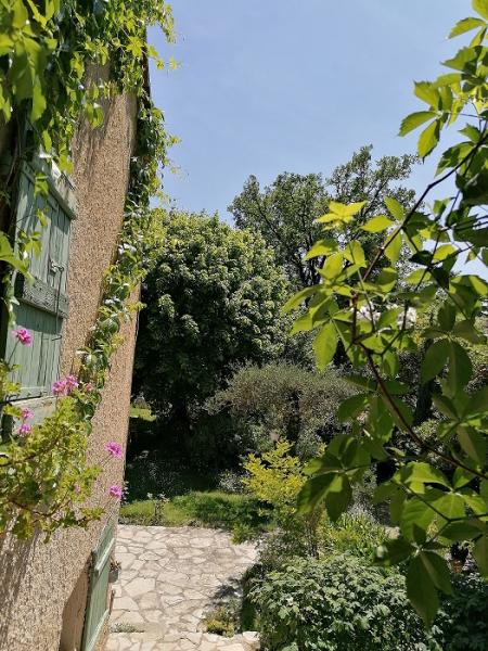 Foto dell'alloggio