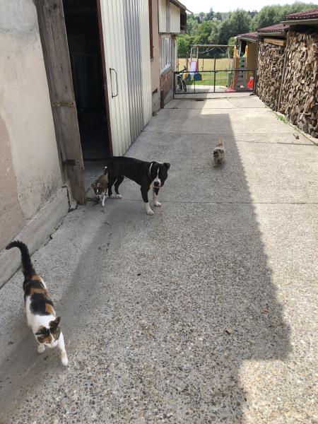 Foto dell'alloggio