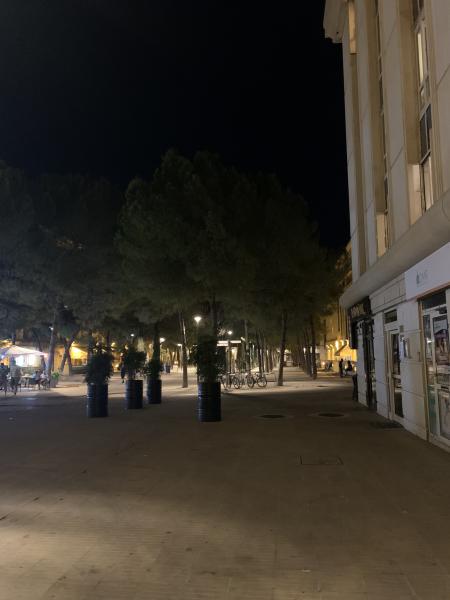 Foto dell'alloggio