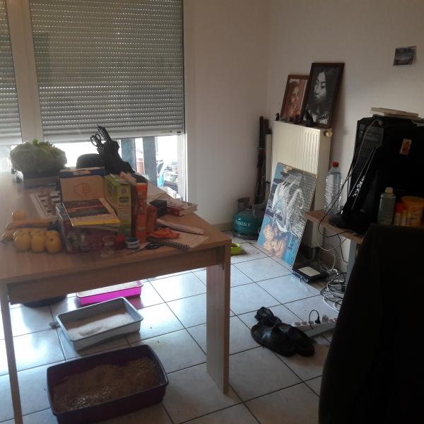 Foto dell'alloggio