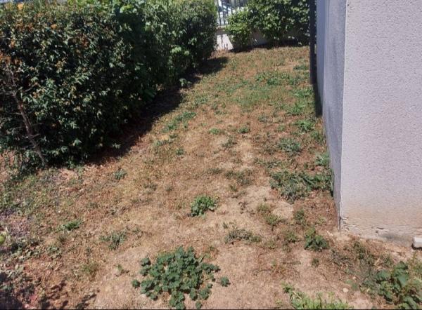Foto dell'alloggio