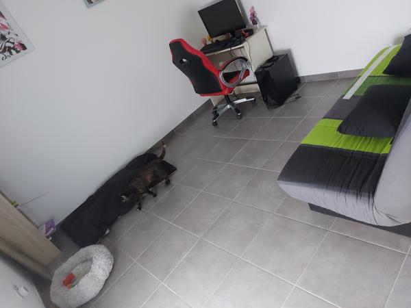 Foto dell'alloggio
