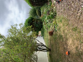 Foto dell'alloggio