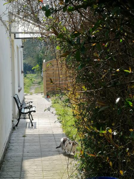 Foto dell'alloggio