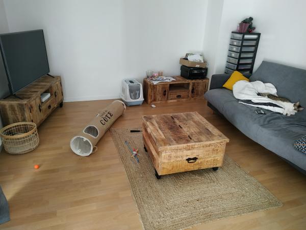 Foto dell'alloggio