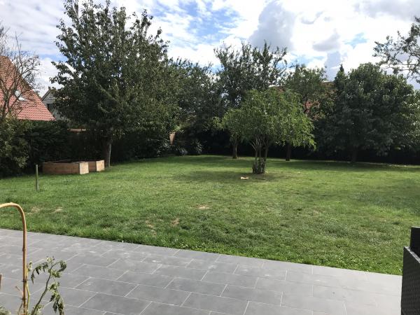 Foto dell'alloggio