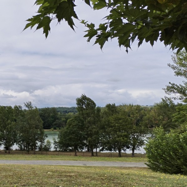 Foto dell'alloggio