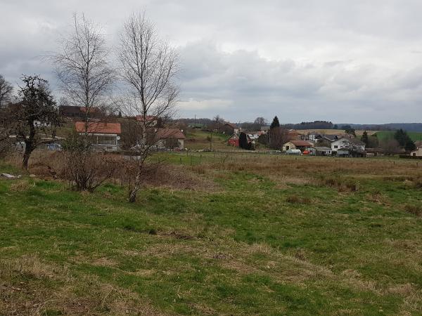 Foto dell'alloggio