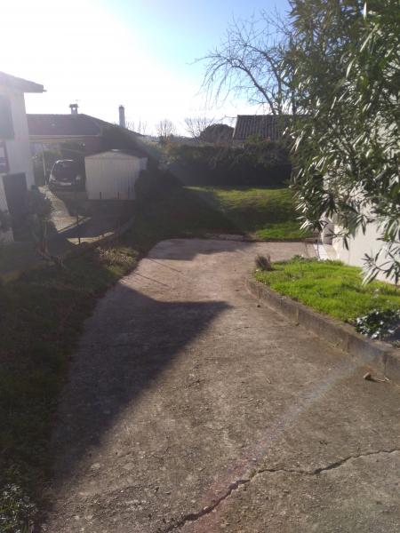 Foto dell'alloggio