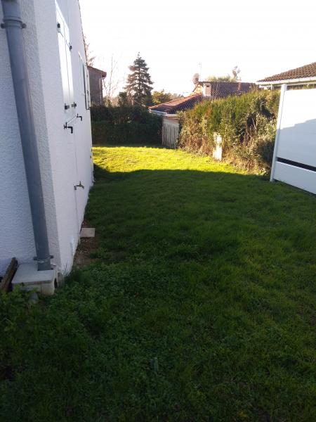 Foto dell'alloggio