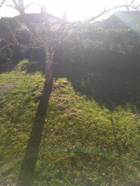 Foto dell'alloggio