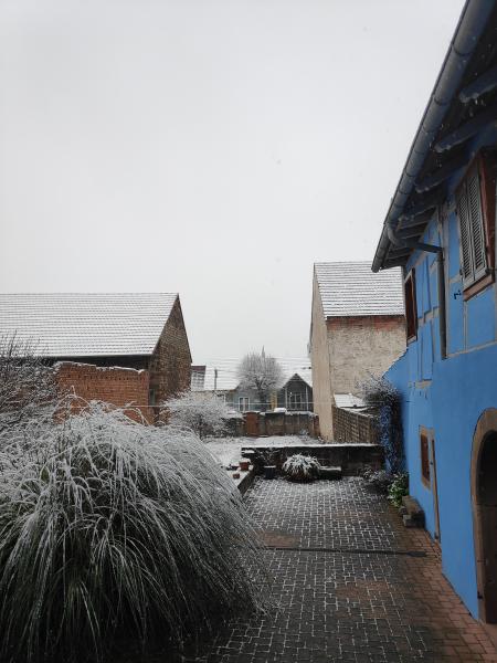 Foto dell'alloggio