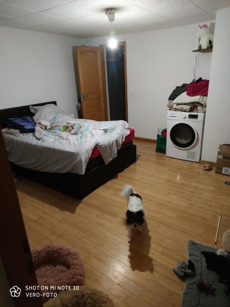 Foto dell'alloggio