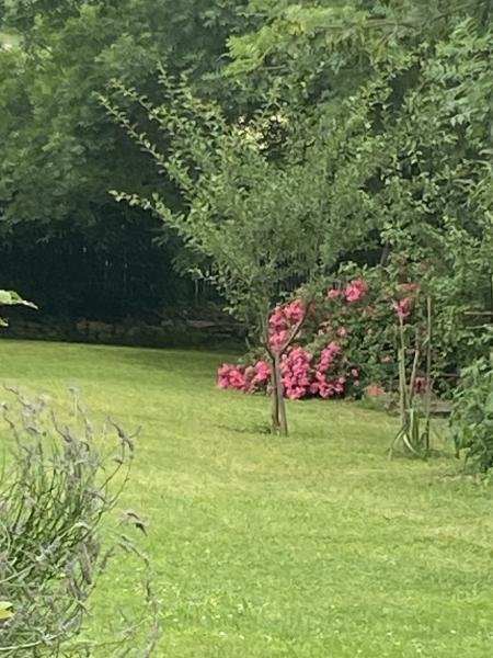 Foto dell'alloggio