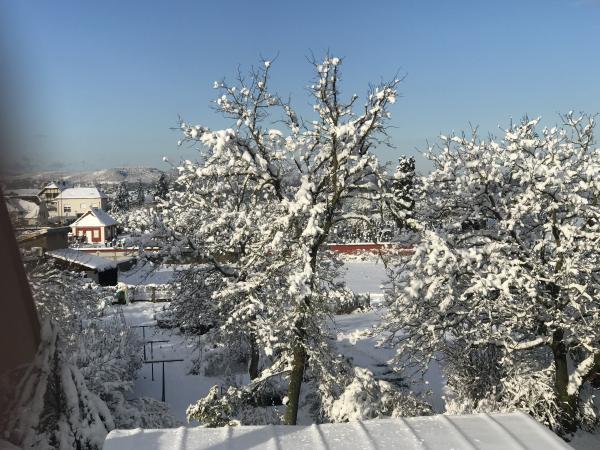 Foto dell'alloggio