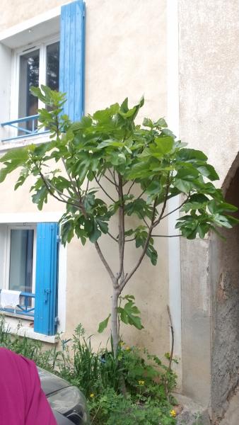 Foto dell'alloggio