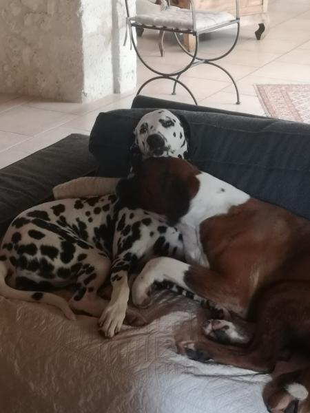 Foto dell'alloggio