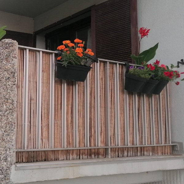 Foto dell'alloggio