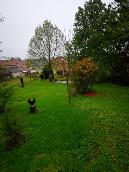 Foto dell'alloggio
