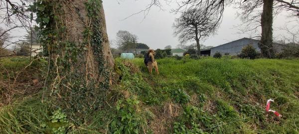 Foto dell'alloggio