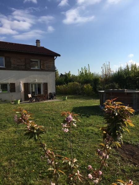 Foto dell'alloggio