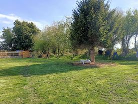 Foto dell'alloggio