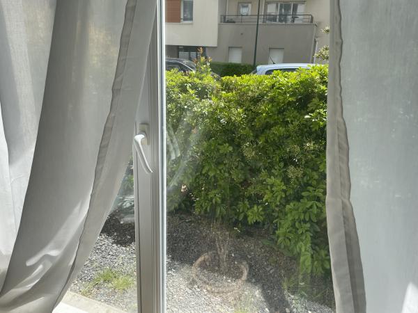Foto dell'alloggio