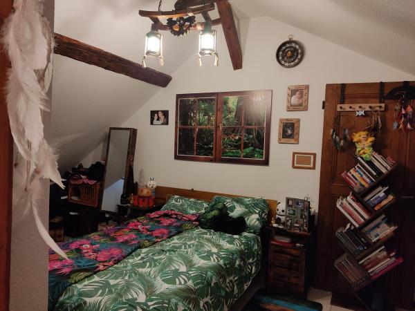 Foto dell'alloggio
