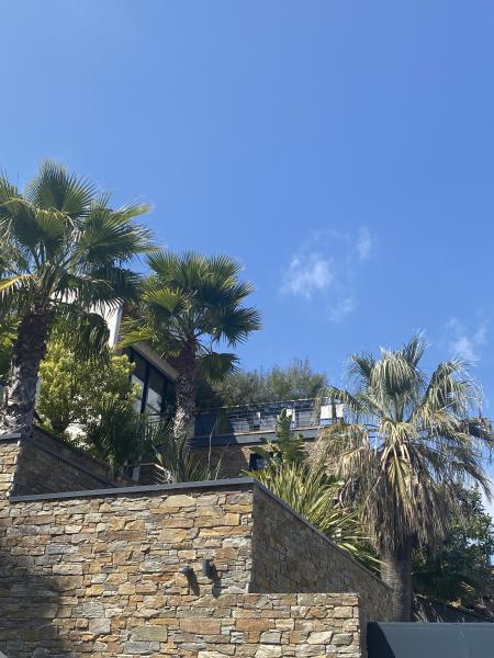 Foto dell'alloggio