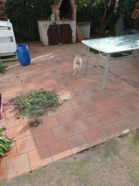 Foto dell'alloggio